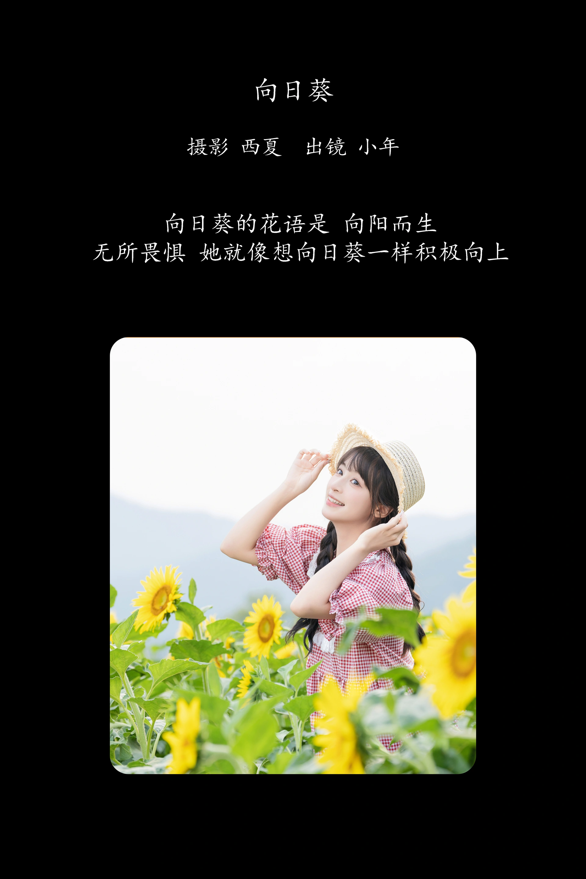 [YITUYU艺图语]2025.02.18 向日葵 夏芋小年 1