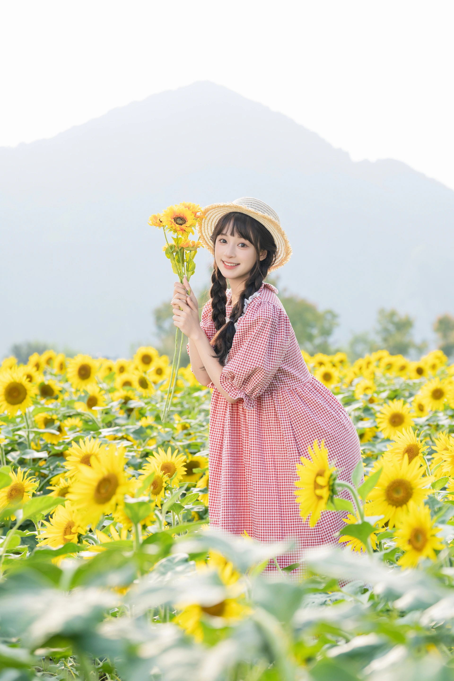 [YITUYU艺图语]2025.02.18 向日葵 夏芋小年 3